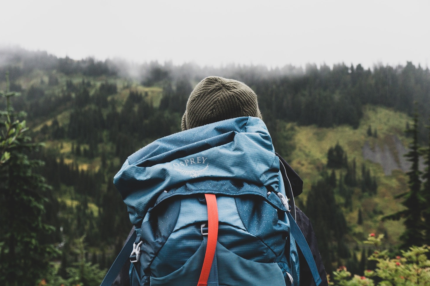 Die besten Orte für Work-and-Travel in Neuseeland